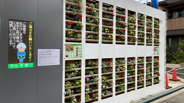 仮囲い壁面緑化