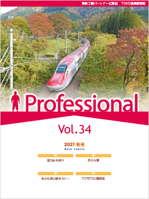Professional Vol.34