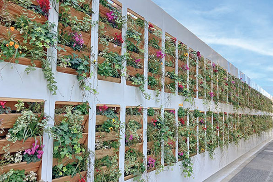 「地球にやさしい、街にやさしい」緑化技術