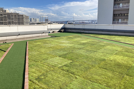 トモス緑化システム（屋上苔緑化）