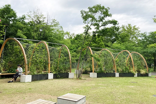 木陰のトンネル