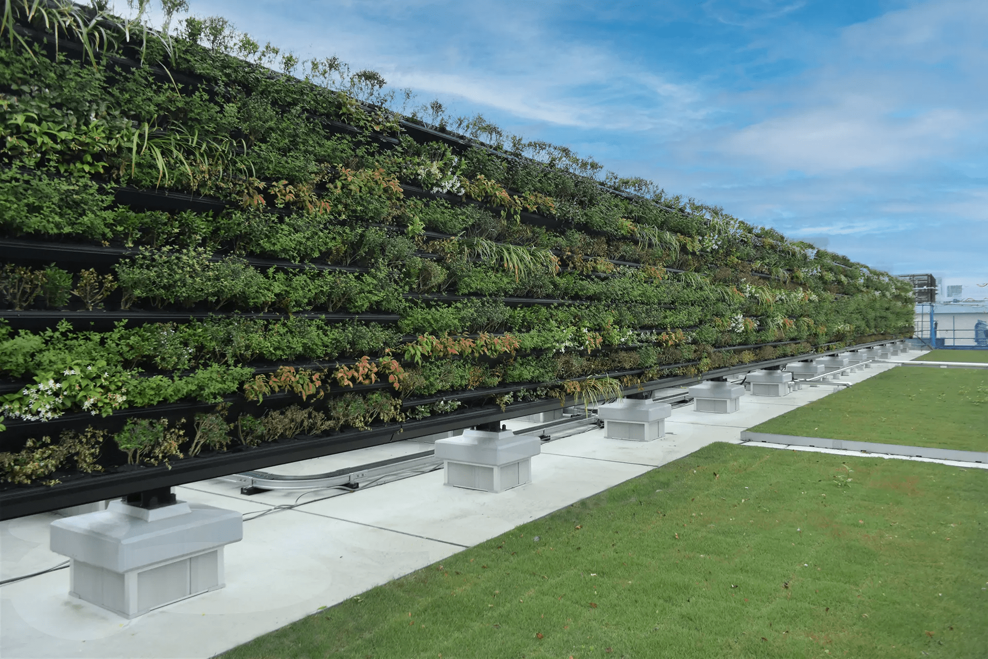 上野駅公園口緑化工事 1のサムネイル画像です