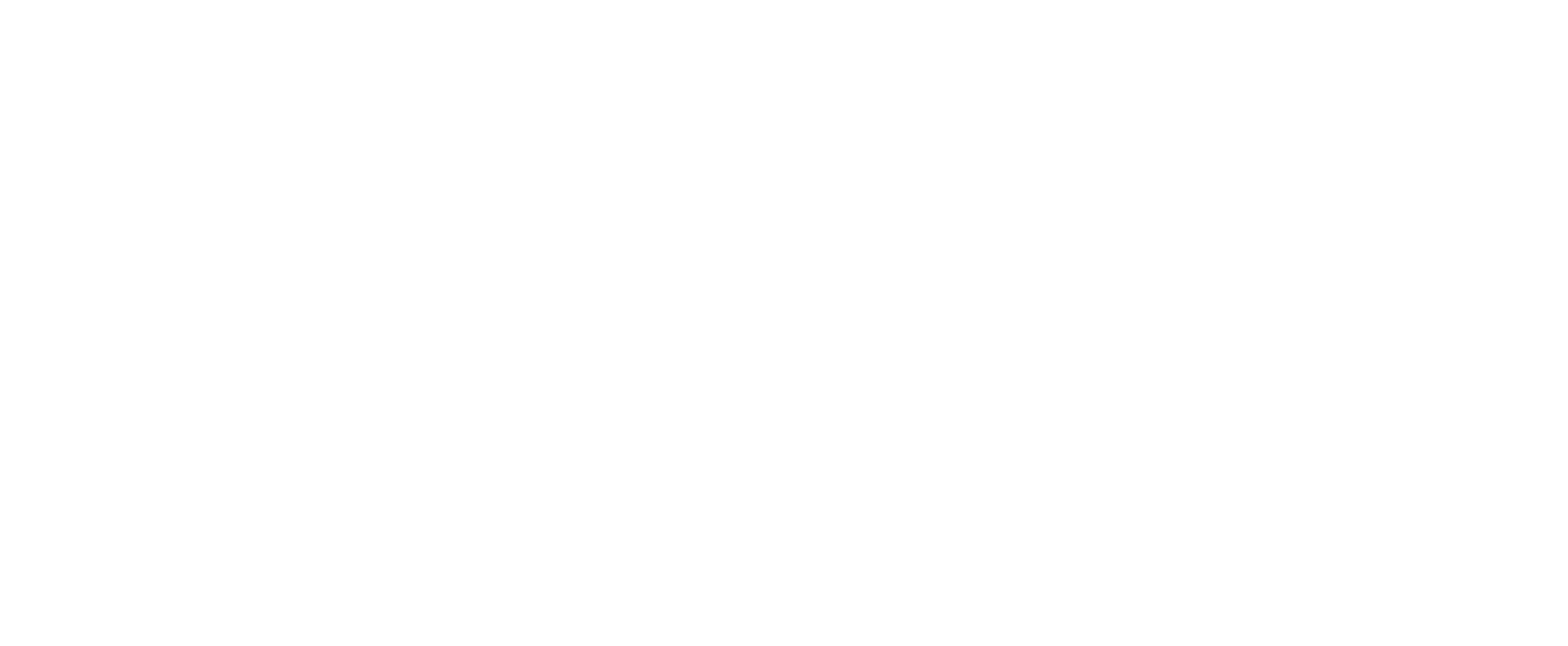 挑戦の数でも、ナンバーワンに。