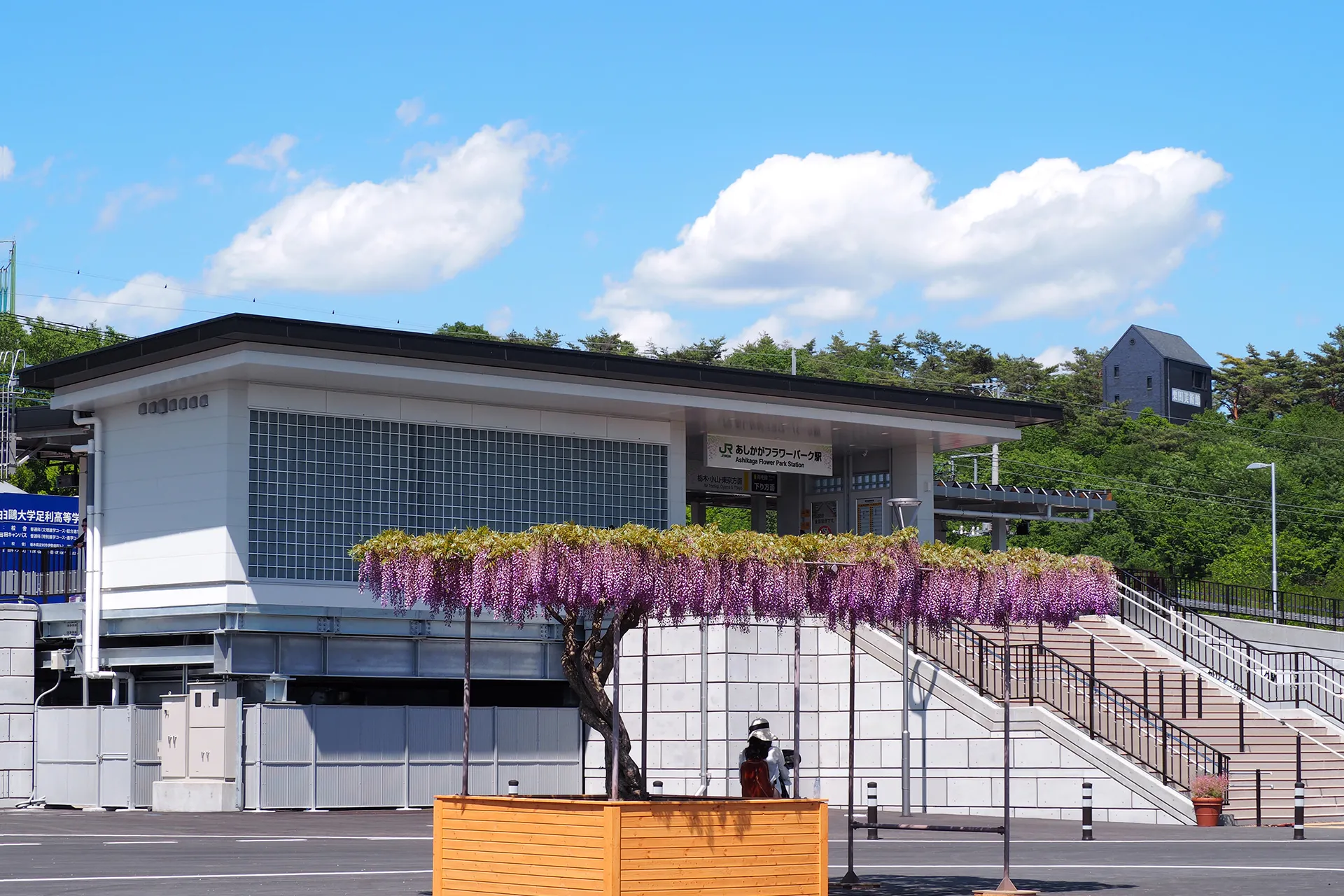 JR両毛線 あしかがフラワーパーク駅新設工事のサムネイル画像です