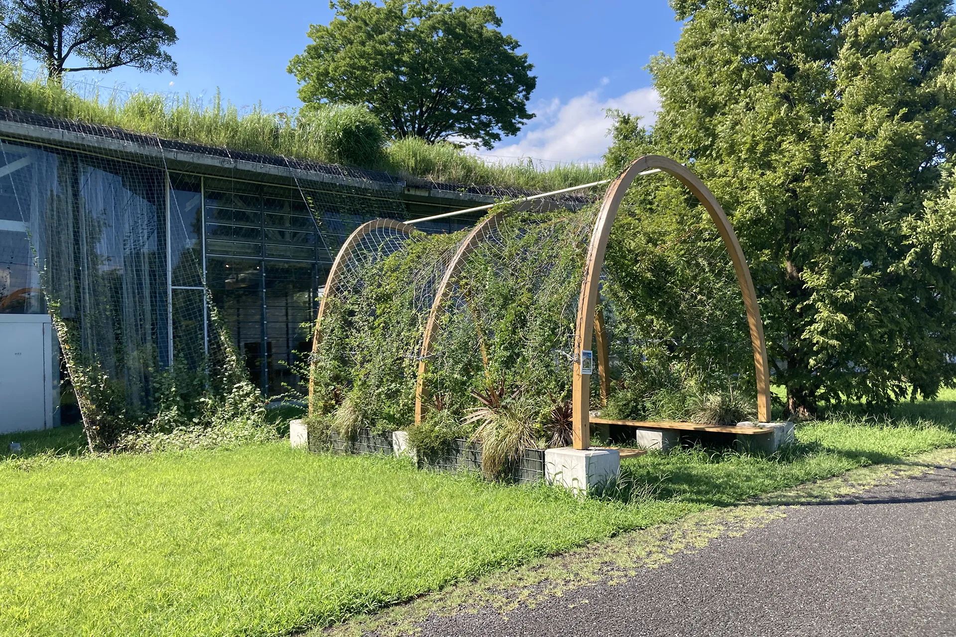 国営昭和記念公園（こもれびベンチ）のサムネイル画像です