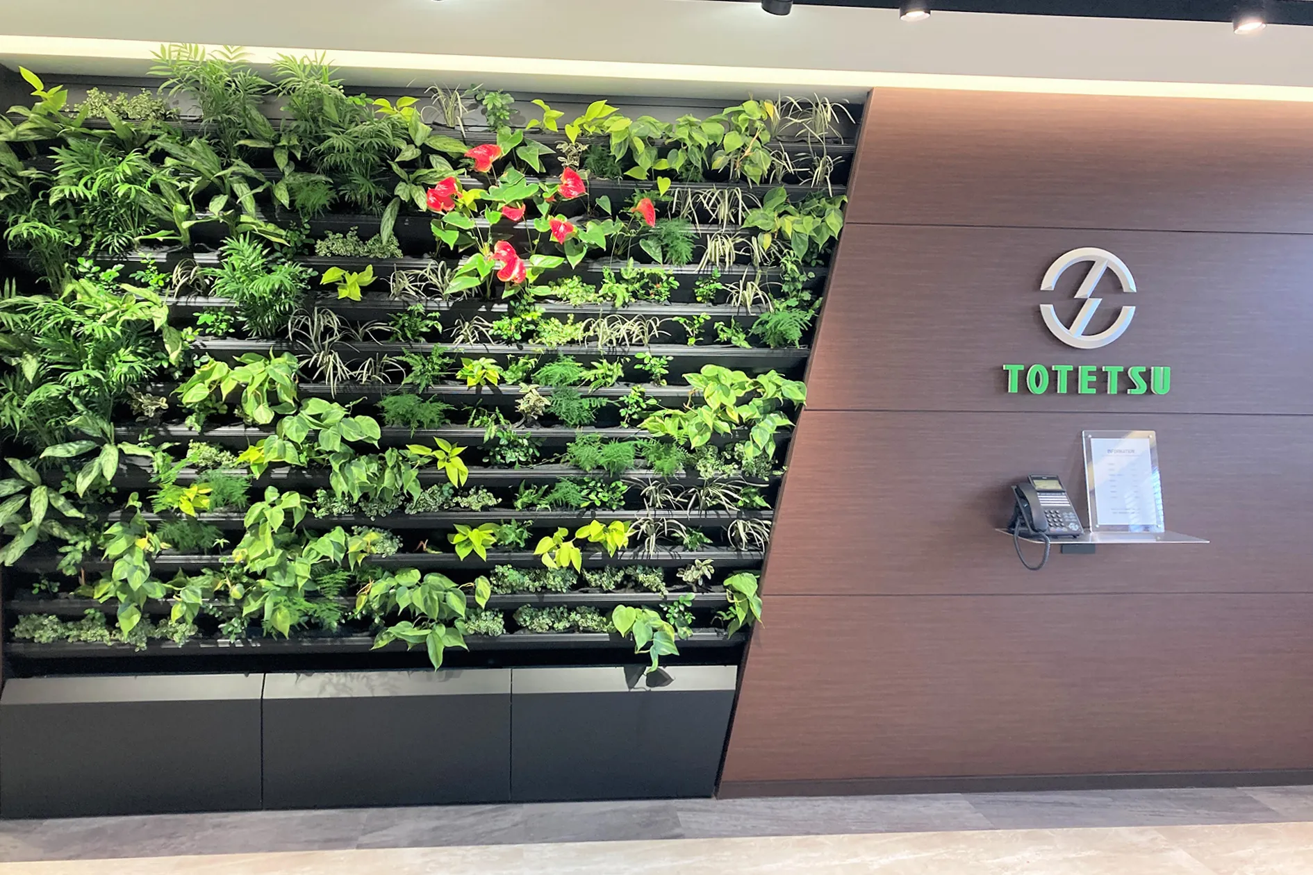 東鉄工業千葉支店エントランス室内壁面緑化のサムネイル画像です
